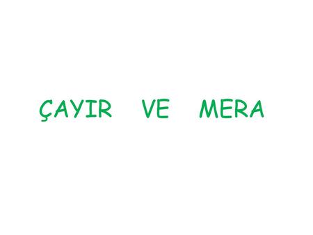 ÇAYIR VE MERA.