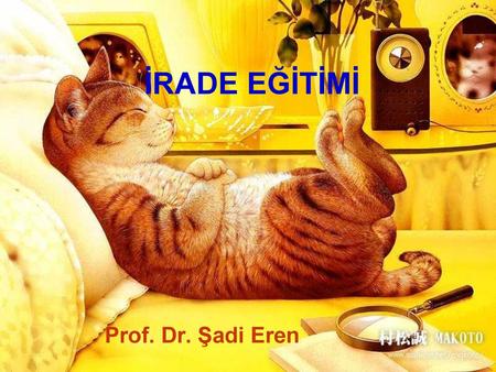 İRADE EĞİTİMİ Prof. Dr. Şadi Eren.