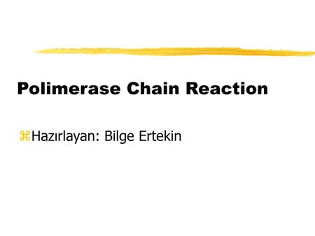 Polimerase Chain Reaction