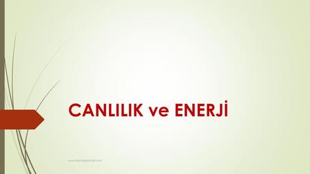 CANLILIK ve ENERJİ www.biyolojiportali.com.