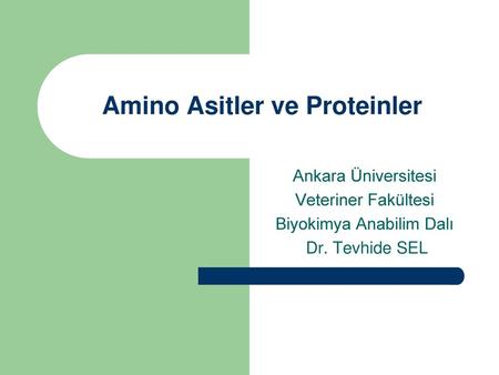 Amino Asitler ve Proteinler