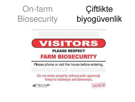 On-farm Biosecurity Çiftlikte biyogüvenlik.