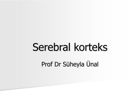Serebral korteks Prof Dr Süheyla Ünal.