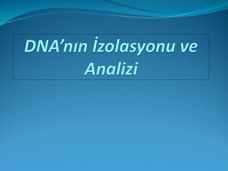 DNA’nın İzolasyonu ve Analizi