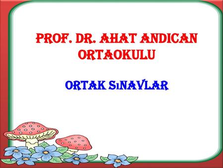 Prof. Dr. Ahat andIcan ortaokulu