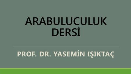 Prof. Dr. Yasemin ışıktaç