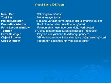 Visual Basic IDE Yapısı