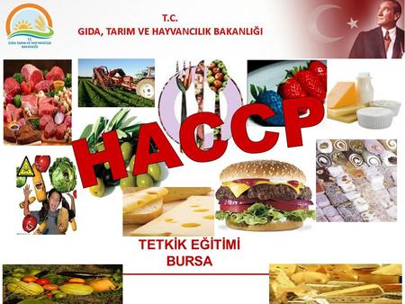 HACCP TETKİK EĞİTİMİ BURSA.