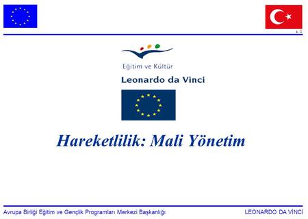 S. 1 Avrupa Birliği Eğitim ve Gençlik Programları Merkezi Başkanlığı LEONARDO DA VİNCİ Hareketlilik: Mali Yönetim.