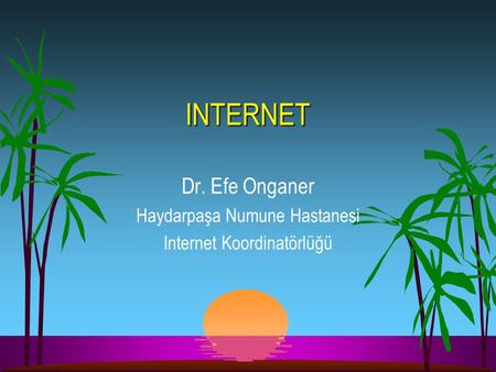 Dr. Efe Onganer Haydarpaşa Numune Hastanesi Internet Koordinatörlüğü