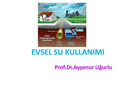 EVSEL SU KULLANIMI Prof.Dr.Ayşenur Uğurlu.