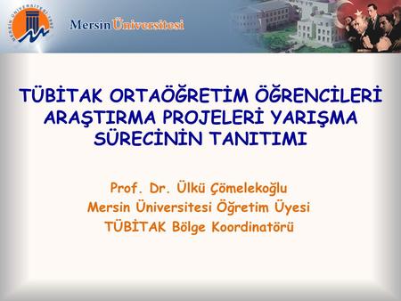 Prof. Dr. Ülkü Çömelekoğlu Mersin Üniversitesi Öğretim Üyesi