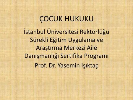 Prof. Dr. Yasemin Işıktaç