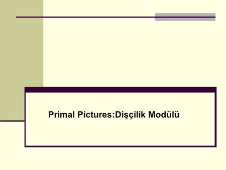 Primal Pictures:Dişçilik Modülü. Dişçilik 100’den fazla 3 boyutlu görüntü içeriği : Baş Boyun Yüz Ağız – burun boşlukları Diş yapısı 3 boyutlu bölgesel.