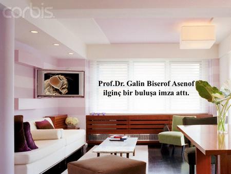 Prof.Dr. Galin Biserof Asenof ilginç bir buluşa imza attı.