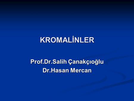 Prof.Dr.Salih Çanakçıoğlu Dr.Hasan Mercan