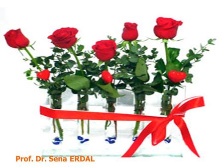 Prof. Dr. Sena ERDAL.