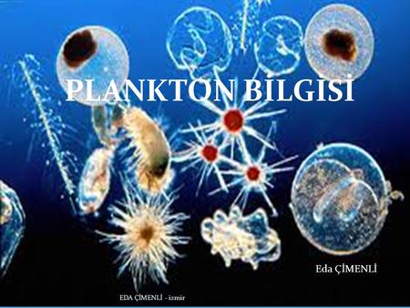 PLANKTON BİLGİSİ PLANKTON BİLGİSİ Eda ÇİMENLİ EDA ÇİMENLİ - izmir.