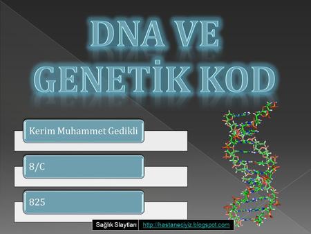 DNA ve Genetİk Kod Sağlık Slaytları
