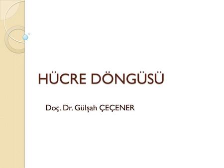HÜCRE DÖNGÜSÜ Doç. Dr. Gülşah ÇEÇENER.