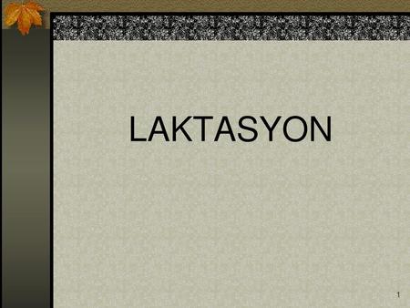 LAKTASYON.