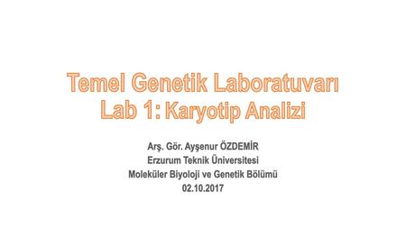 Temel Genetik Laboratuvarı Lab 1: Karyotip Analizi