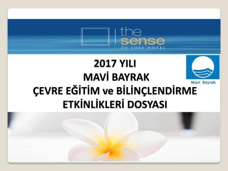 Genel Bilgi The Sense toplam alan (otel arazisi): m2