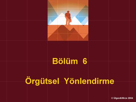 Bölüm 6 Örgütsel Yönlendirme