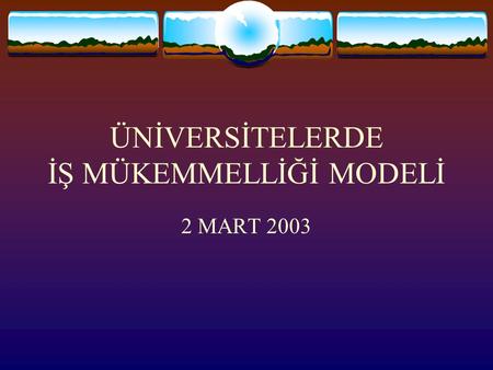 ÜNİVERSİTELERDE İŞ MÜKEMMELLİĞİ MODELİ 2 MART 2003.