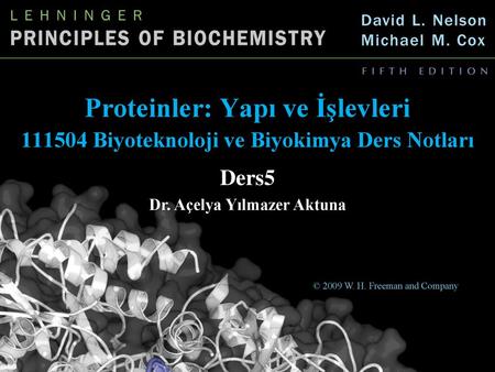 Proteinler: Yapı ve İşlevleri