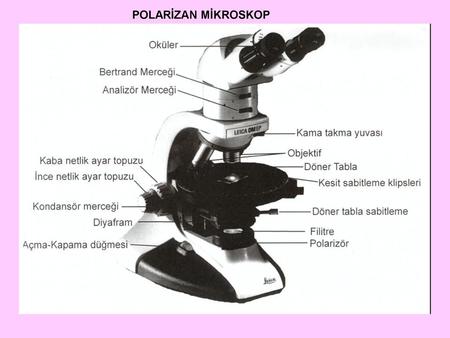 POLARİZAN MİKROSKOP.