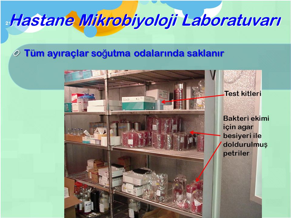 Hastane Mikrobiyoloji Laboratuvarı