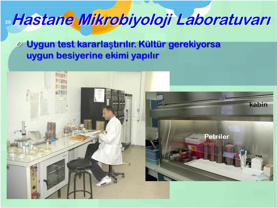 Hastane Mikrobiyoloji Laboratuvarı