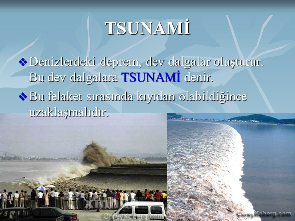 TSUNAMİ Denizlerdeki deprem, dev dalgalar oluşturur. Bu dev dalgalara TSUNAMİ denir. Bu felaket sırasında kıyıdan olabildiğince uzaklaşmalıdır.