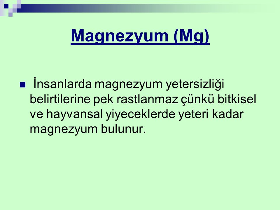 Magnezyum (Mg)
