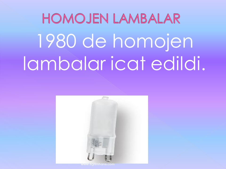 1980 de homojen lambalar icat edildi.
