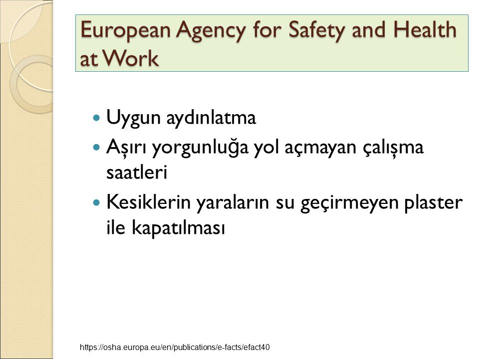 European Agency for Safety and Health at Work