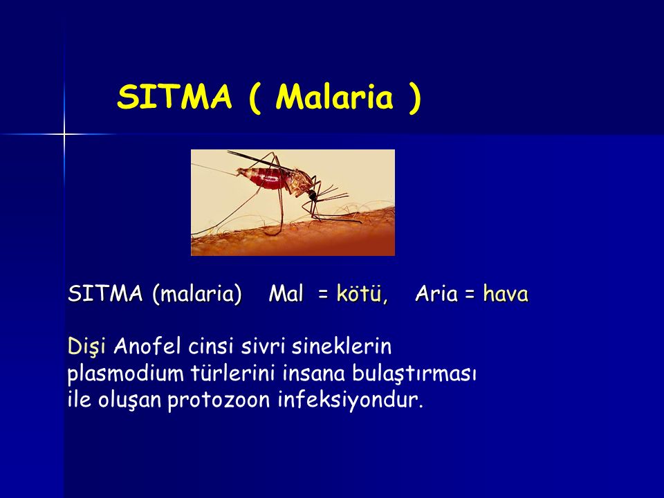 SITMA ( Malaria ) SITMA (malaria) Mal = kötü, Aria = hava