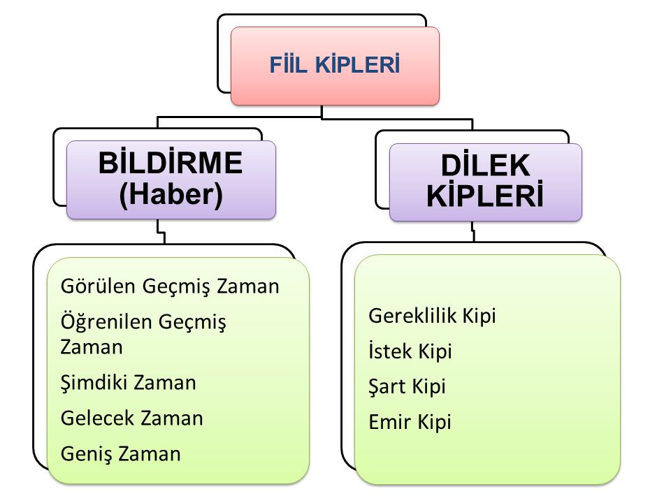 FİİLLERDE KİP. - Ppt Indir