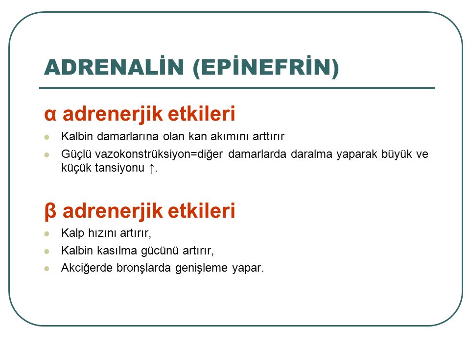 ADRENALİN (EPİNEFRİN)‏