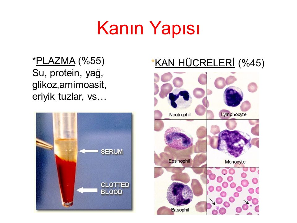 Kızı Patlatıyor Kan Akıyor