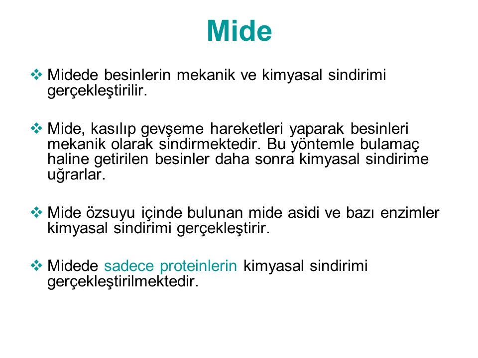 Sindirim Sistemi. - Ppt Indir