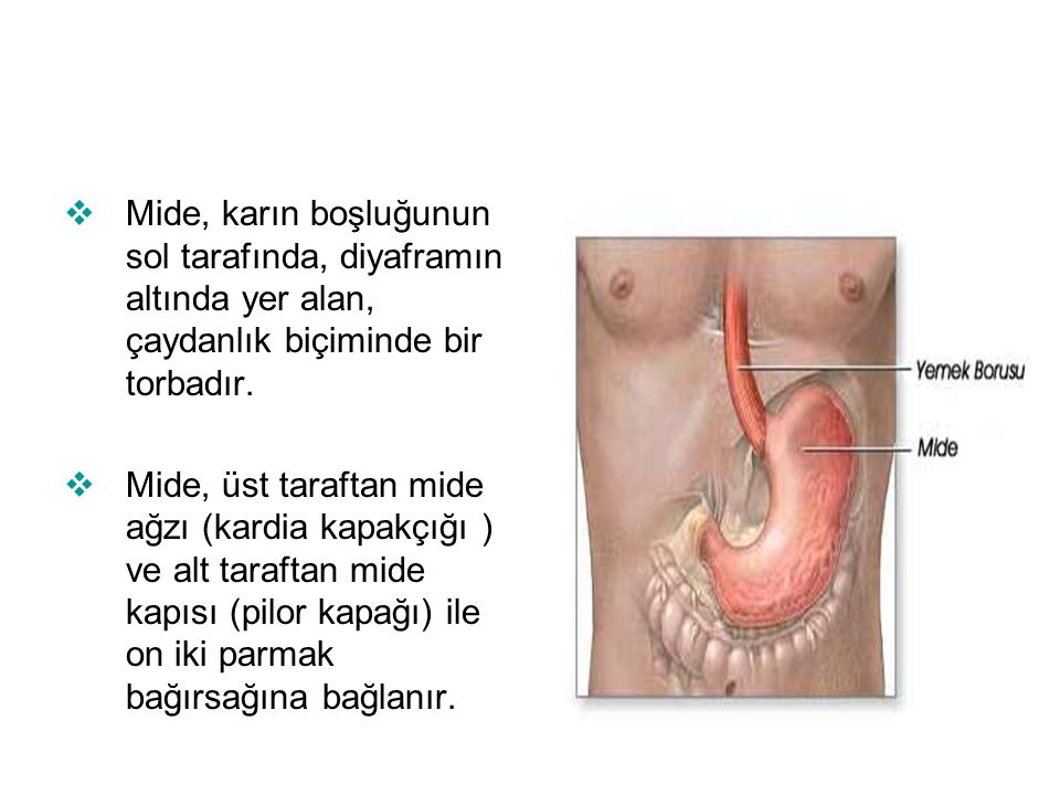 Vajinadan Gaz Çıkan Kadın