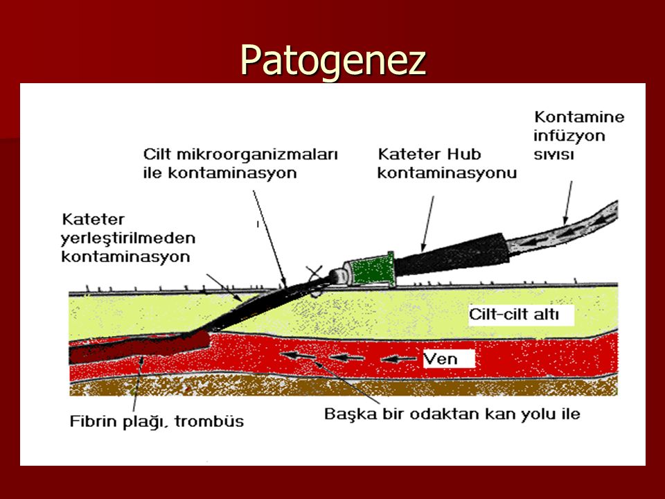 Patogenez
