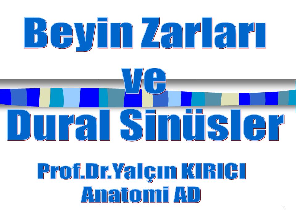 Beyin Zarları ve Dural Sinüsler Prof.Dr.Yalçın KIRICI Anatomi AD 1