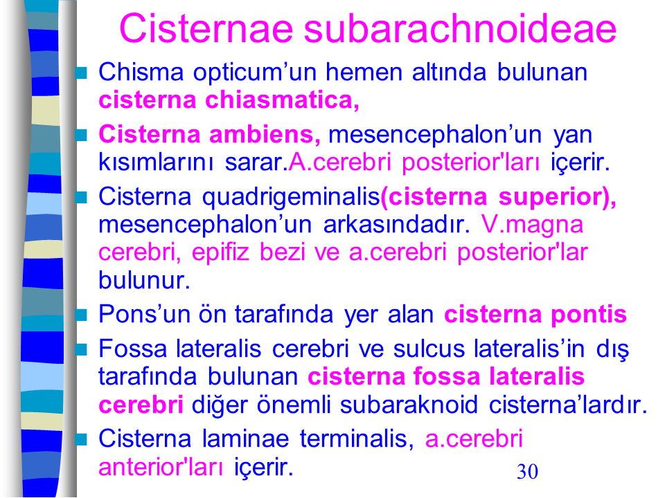 Cisternae subarachnoideae