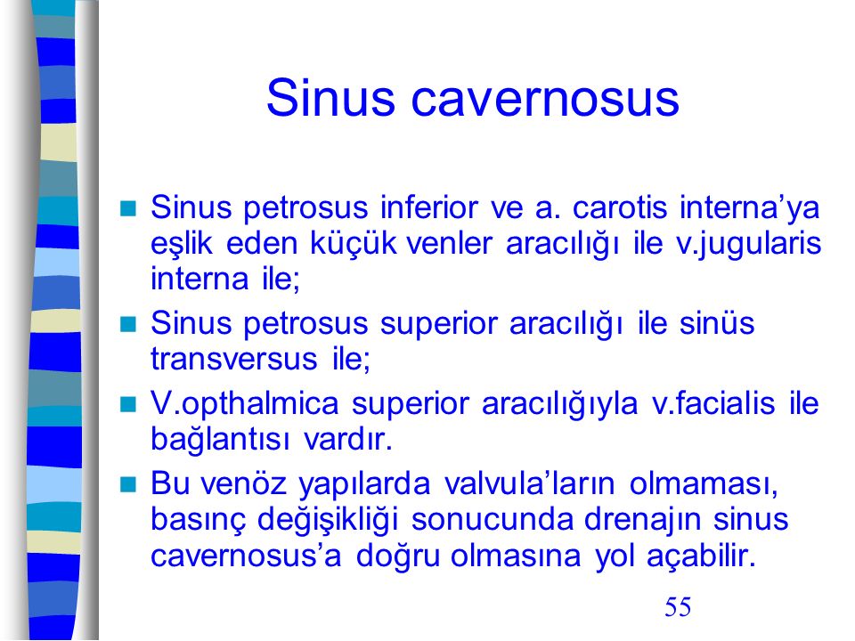 Sinus cavernosus Sinus petrosus inferior ve a. carotis interna’ya eşlik eden küçük venler aracılığı ile v.jugularis interna ile;