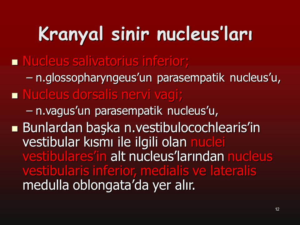 Kranyal sinir nucleus’ları