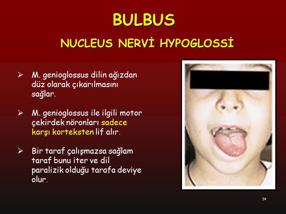 BULBUS NUCLEUS NERVİ HYPOGLOSSİ