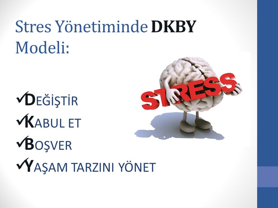 Stres Yönetiminde DKBY Modeli: